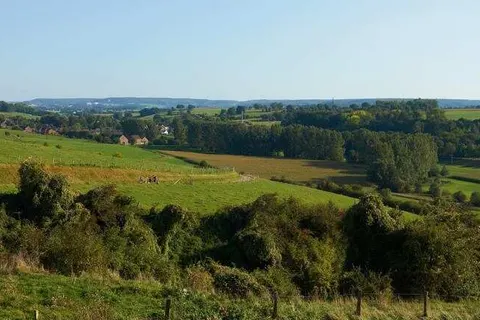 Landgoed Overste Hof foto 27