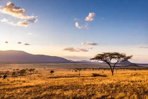 Geheime Schatten van Tanzania in Tanzania — foto 14