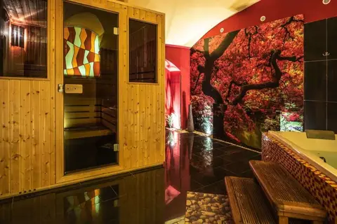 EA Hotel Sonata in Praag, foto 8