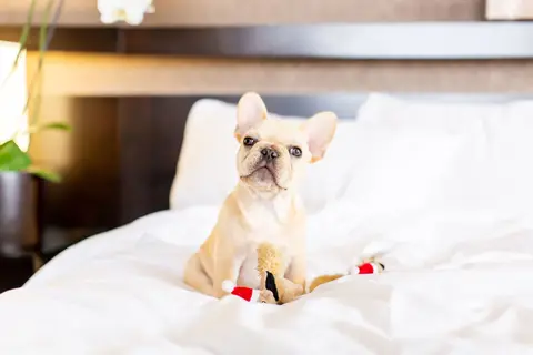 Parc 55 San Francisco, a Hilton Hotel in San Francisco — foto 12