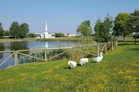 Vakantiepark Mimose foto 14