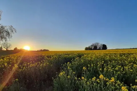 Hotel Keilberg foto 17