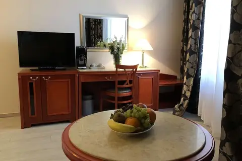 Hotel Carlton Prague in Praag, foto 16