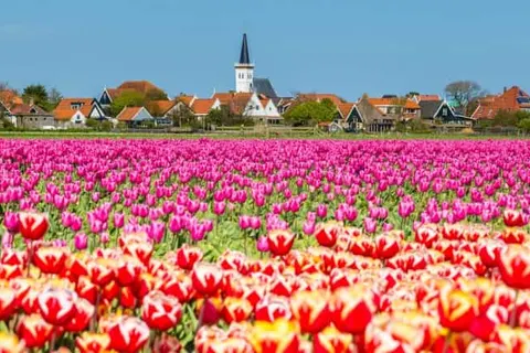 Landgoed Hotel Tatenhove Texel foto 43