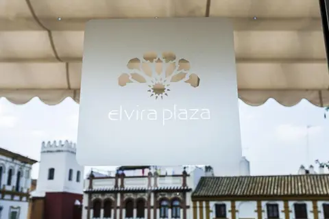 Hotel Boutique Elvira Plaza in Sevilla, foto 7