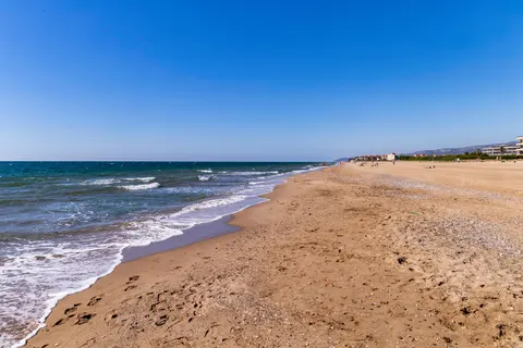 Holacamp Barcelona foto 7