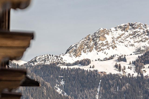 Hotel Gran Chalet Soreghes foto 16