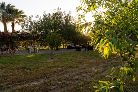 Hotel Las Mariposas Ibiza foto 17