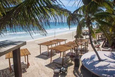 La Zebra in Cancún — foto 20