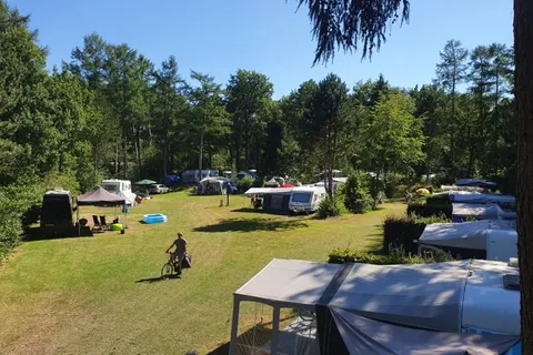 Camping Horstmannsbos foto 22