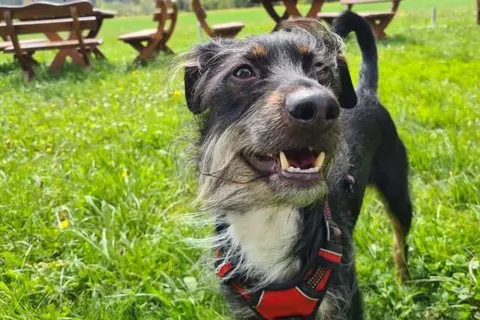 Hotel Restaurant Sonnenschein foto 5