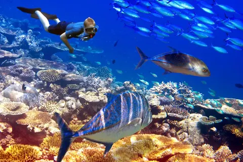 Startpakket Mauritius in Port Louis — foto 4