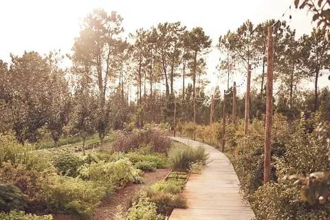 Craveiral Farmhouse foto 34