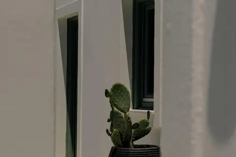 Agave Santorini Design Boutique Hotel in Δημοτική Ενότητα Θήρας — foto 19