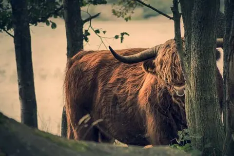 Cuisinerie Mensinge foto 13