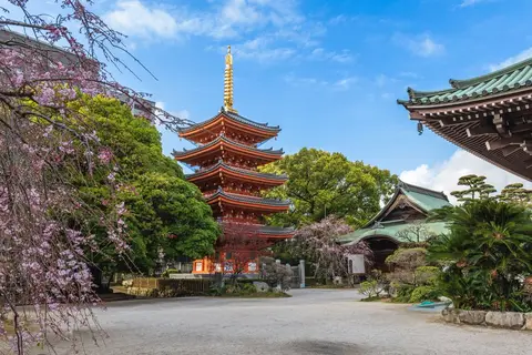 Cruise Japan & Zuid-Korea in Cruisereizen — foto 14