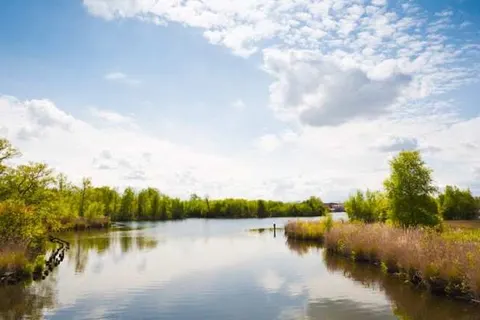 Best Western Plus Amstelveen foto 27