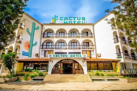 Cactus in Larnaca