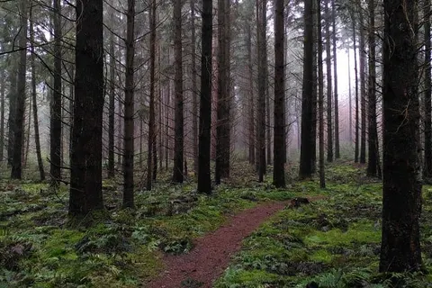 Herberg De Eexter Os foto 20