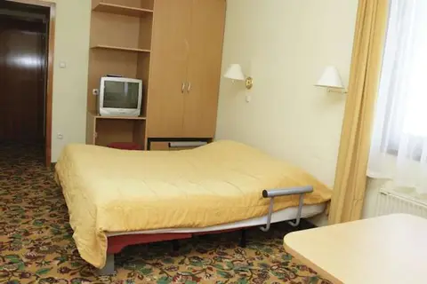 Hotel Alpina in Kranjska Gora, foto 15