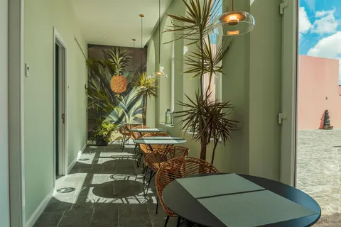 Solar dos Cantos Botanic House and Garden in Ponta Delgada — foto 23