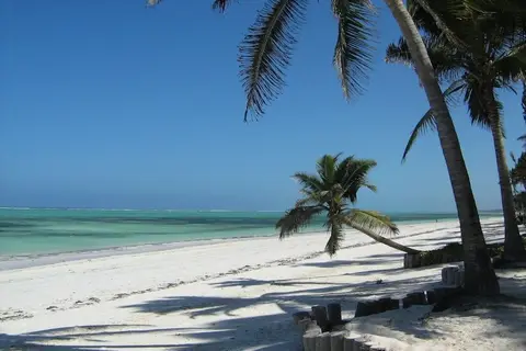 Protels La Plage in Bwejuu — foto 29