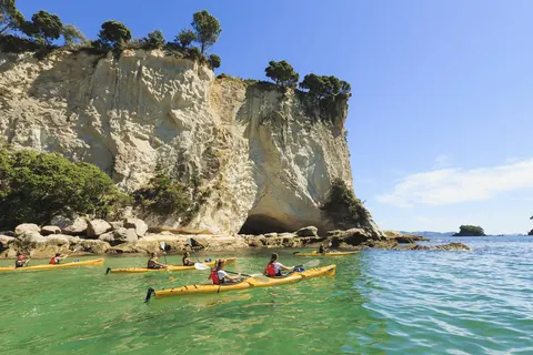 The Natural Wonders of New Zealand in Waitematā — foto 4