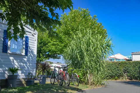 Camping Moulin De La Salle in Les Sables-d'Olonne — foto 20