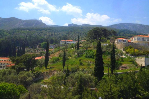 Appartementen Villa Themos foto 21