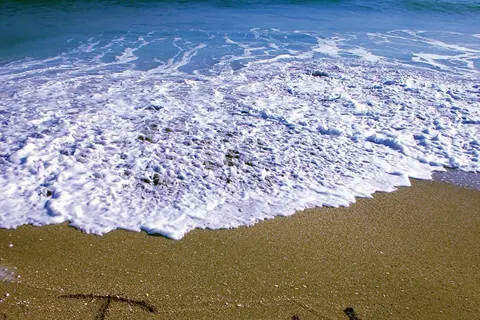 Florida op het gemak foto 8