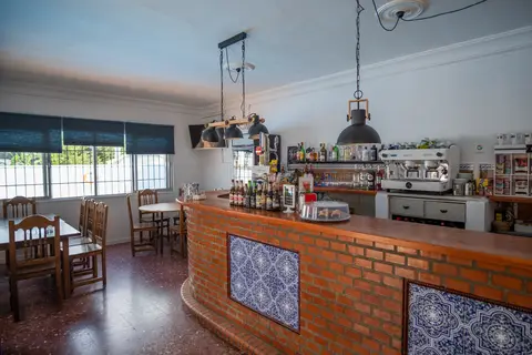 Taïga Conil in Conil de la Frontera — foto 18