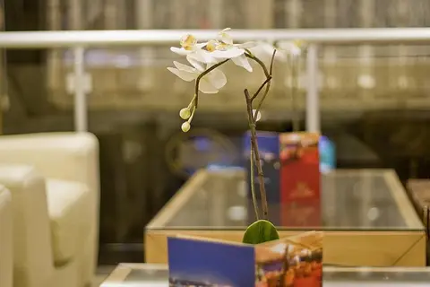 Park Star Hotel in Fatih — foto 7