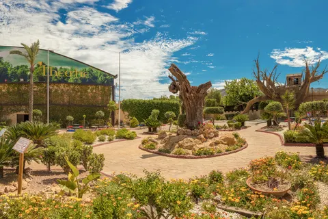 Magic Robin Hood foto 3