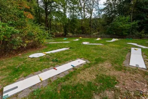 Vakantiepark De Wiltzangh in Ruinen — foto 11