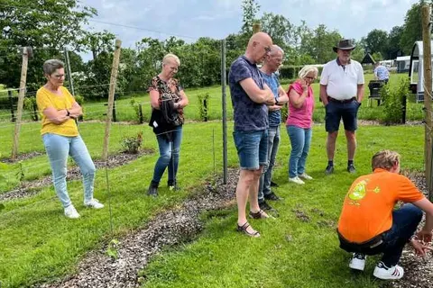 Vakantiepark De Toffe Peer foto 12