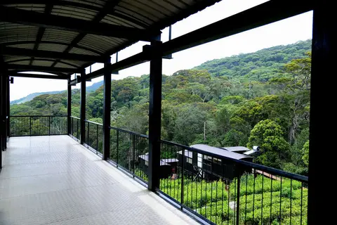 Rainforest Eco Lodge in Rainforest Ecolodge — foto 14