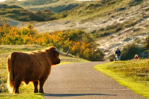 Best Western Beach Hotel Bergen aan Zee foto 20