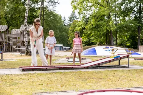 Camping De Tol in Nunspeet — foto 3