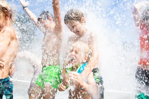 Camping Rcn Het Grote Bos foto 2