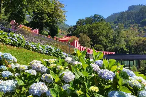 Quinta da Serra in Câmara de Lobos — foto 15