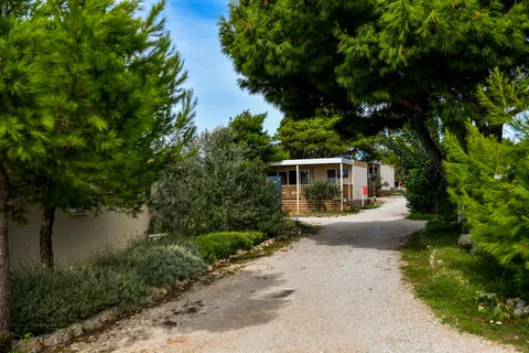 Camping Ugljan foto 28