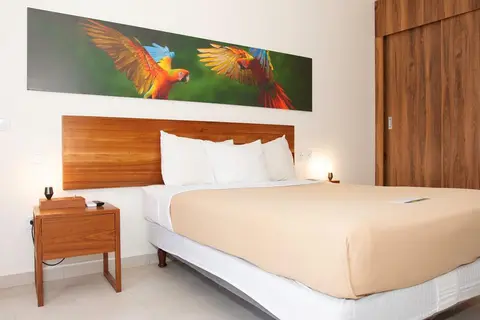 Royal Torarica in Paramaribo — foto 10