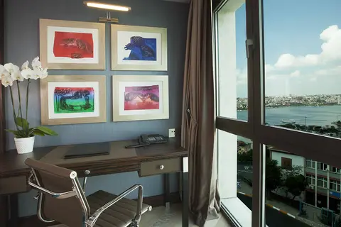 Radisson Blu Hotel, Istanbul Pera in Fatih — foto 11