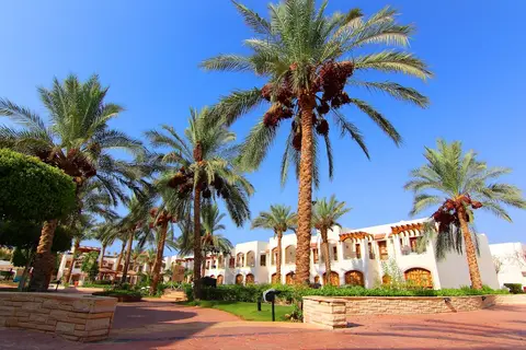 Coral Hills Resort Sharm El Sheikh in Sharm El Sheikh — foto 28