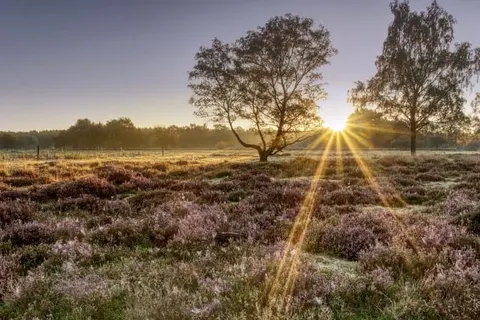 Bed and Breakfast Riekelt foto 20