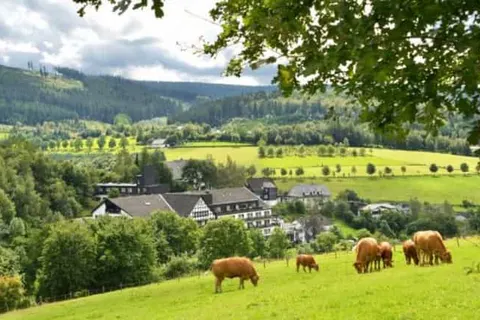 Sauerland Alpin Hotel foto 37