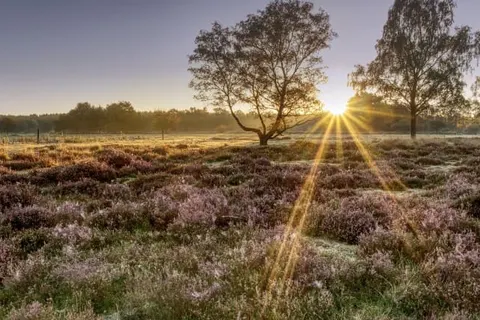 Hotel Restaurant Les Jumeaux foto 14