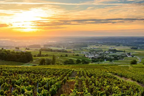 La Grappe Fleurie in Fleurie — foto 14