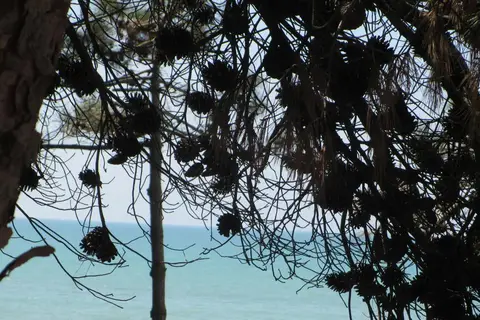 Bel Conti Hotel in Durres — foto 30