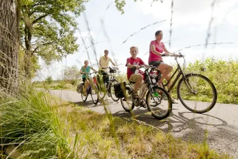 Camping Evora foto 6